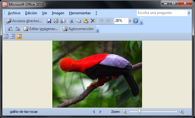 Microsoft Office Picture Microsoft Office Picture