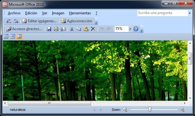 Para qué sirve el programa Microsoft Office Picture Manager Para qué sirve el programa Microsoft Office Picture Manager
